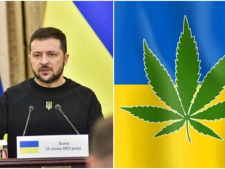 Zelensky Pushes Medical Cannabis Legalization To Aid Ukrainians Suffering ‘Trauma of War’