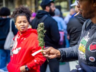 Unlicensed Cannabis Events Prompt Crackdown by City of Denver