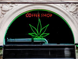 The Netherlands Government Announced a Start Date for Cannabis Pilot Program