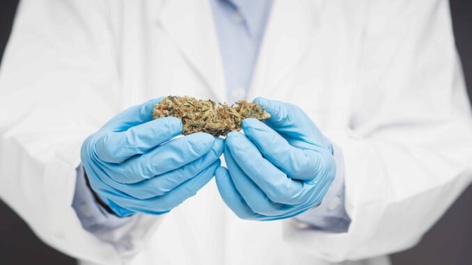 Report: 90% of Virginia Med Patients Obtain Weed Outside of State’s Medical Market