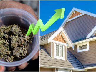 Study Finds Home Values Higher in States With Legal Weed