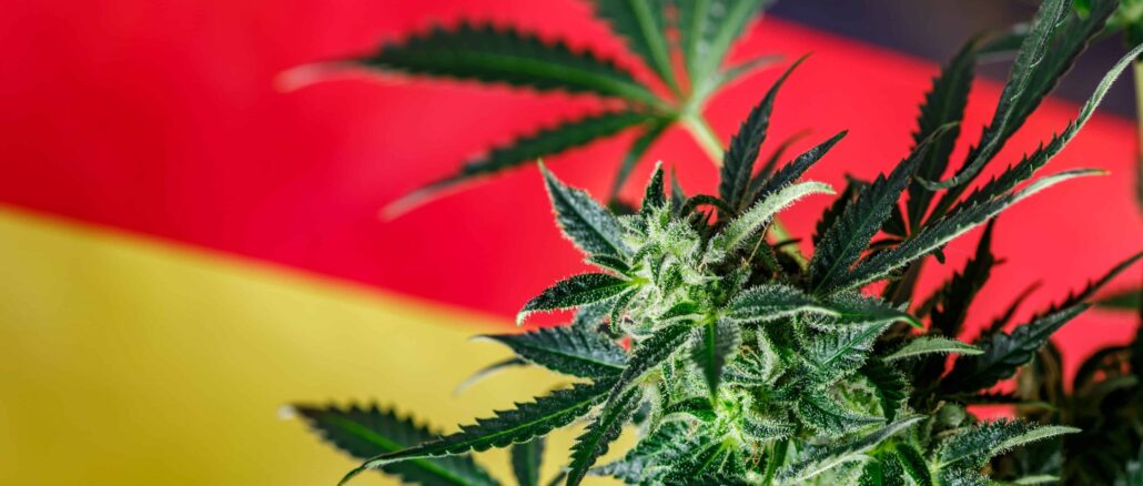 Germany Eyes April 2024 for Cannabis Legalization