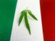 Italian MJ Reform Campaign Gains Nearly Half of Needed Signatures in One Week