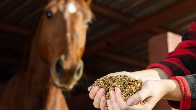 New York Gov. Hochul Vetoes Measures To Allow Hemp Seeds in Animal Feed