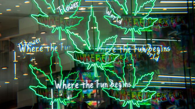 D.C. Council Approves Penalties for Unlicensed Weed Gifting Shops