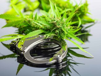 Report: More Than 2 Million Pot-Related Expungements Since 2018