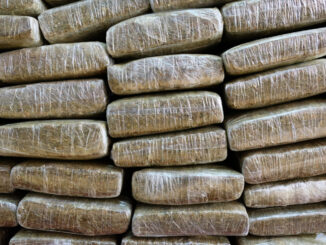 Wasted Weed: Canada's Disposal of 3.7 Million Pounds of Cannabis Since 2018