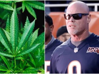 Former NFL Stars Hint at Presidential Bid With Weed Platform