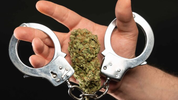 Mother Sues Tennessee Agencies for Using Cannabis Arrest To Separate Family