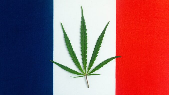Cannabis Flower Won’t Be Included in French Medical Cannabis Program
