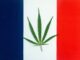 Cannabis Flower Won’t Be Included in French Medical Cannabis Program
