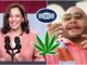 Kamala Harris To Host White House Weed Policy Reform Summit With Fat Joe