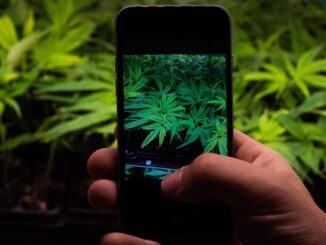 Colorado Bill Banning Social Media MJ, Drug Posts Raises Constitutional Concerns