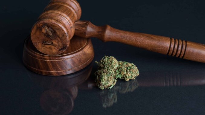 New York Judge Strikes Down Cannabis Marketing Rules