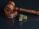 New York Judge Strikes Down Cannabis Marketing Rules